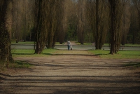 Le long du canal au Parc de Sceaux